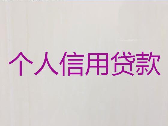 海南信用贷款-本地贷款公司